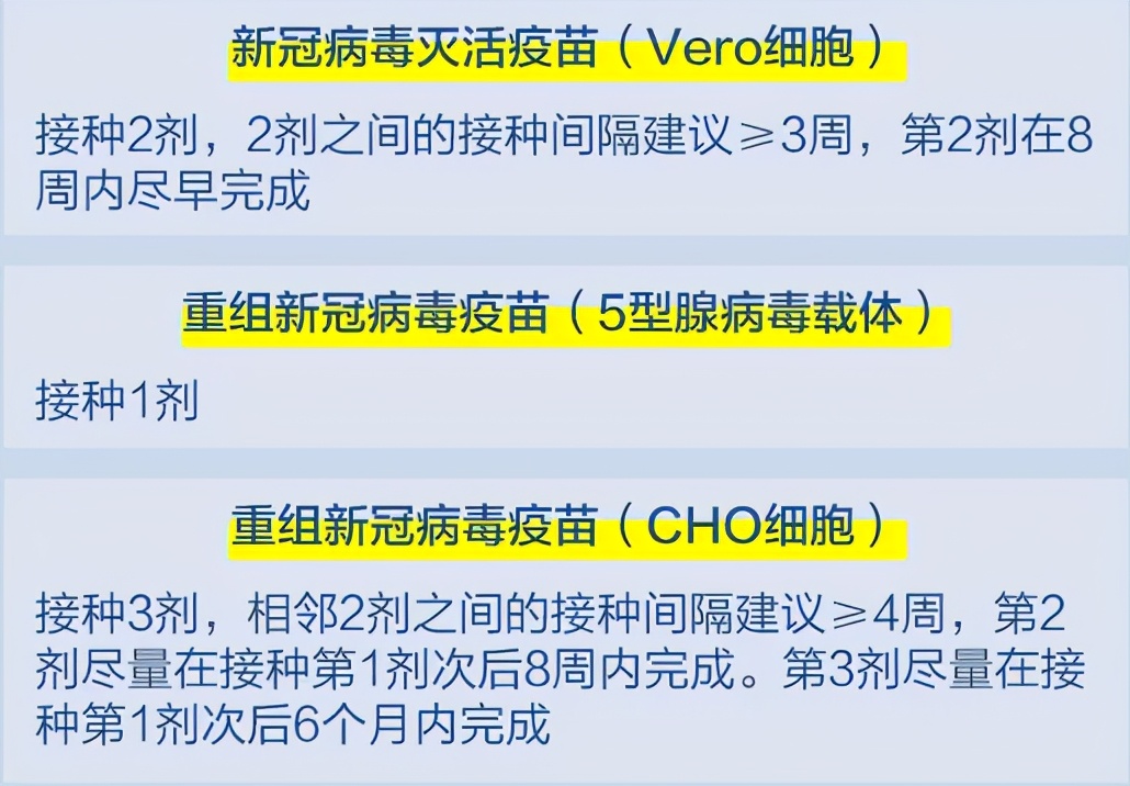 冠疫苗最新动态，爱与陪伴的温馨之旅