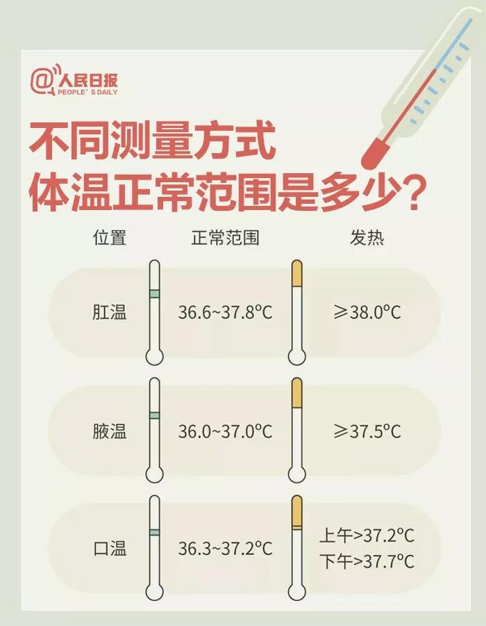 新冠病毒最新动态，探索自然美景之旅寻求内心平和与喜悦