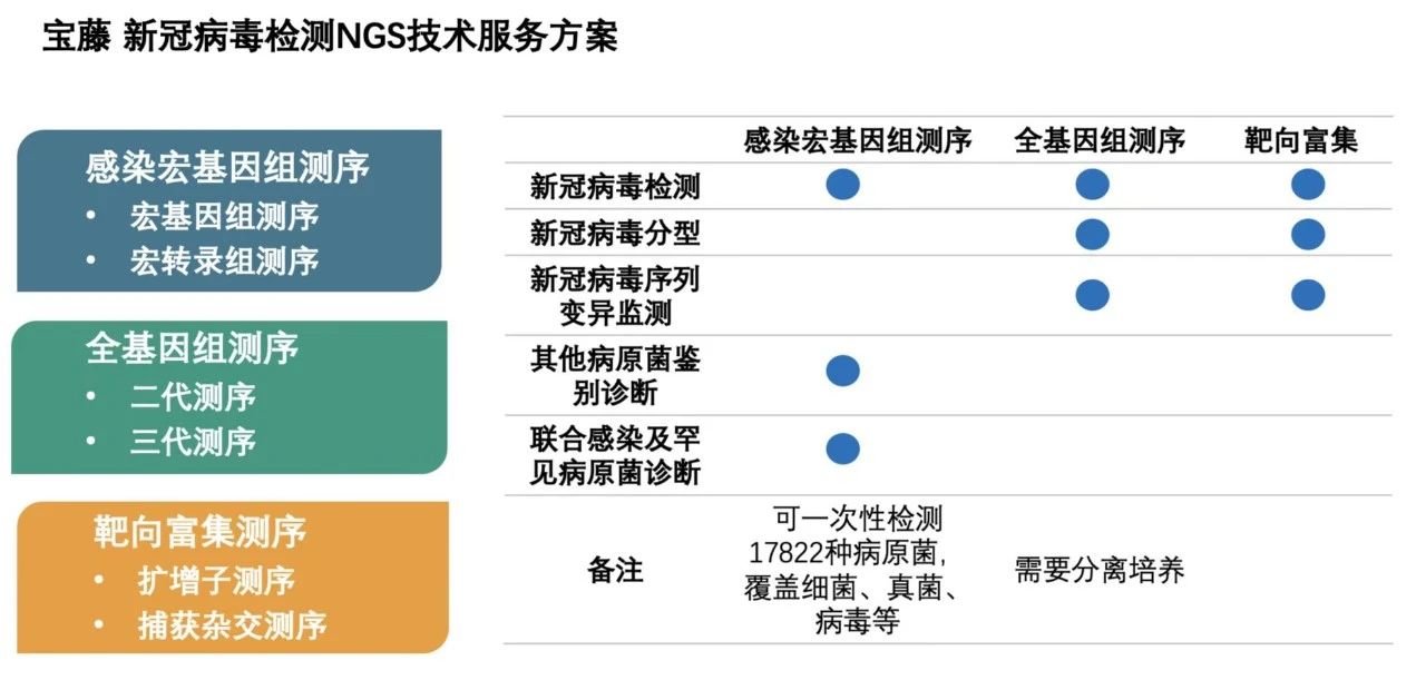 新冠病毒溯源最新进展，探寻疫情之源的历程与影响