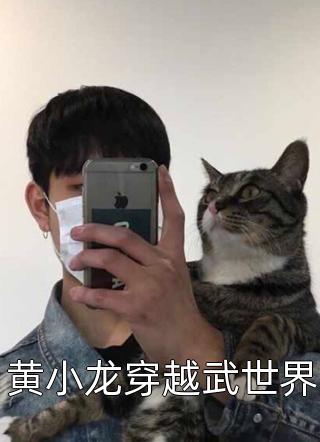 深度解析人物特点与争议，最新章节黄小龙揭秘