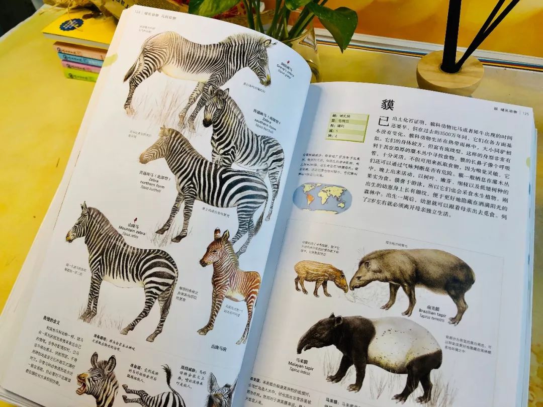 最新动物百科，探索自然界的奇妙世界奥秘