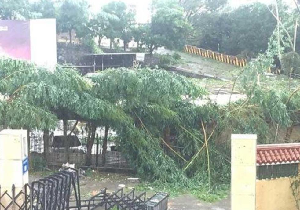 台风对上海的影响及应对指南，详细步骤教你如何准备与应对