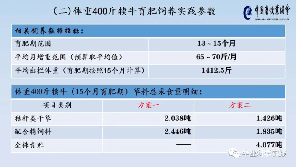 2024新澳开奖结果记录查询,实践数据分析评估_社交版26.555