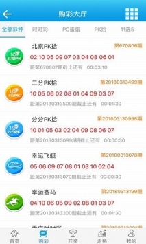 新澳门王中王100%期期中,实际调研解析_复制版25.918