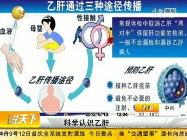 央视乙肝最新消息，心灵与自然的美丽邂逅