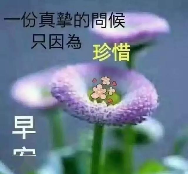 最新温馨问候，阳光下的快乐日常时光