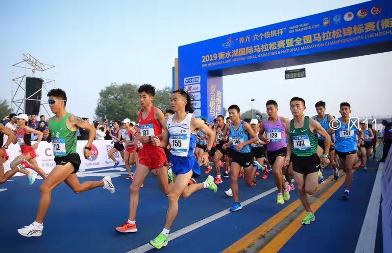 衡水湖国际马拉松比赛，湖畔挑战之路，拥抱变化，展现自我