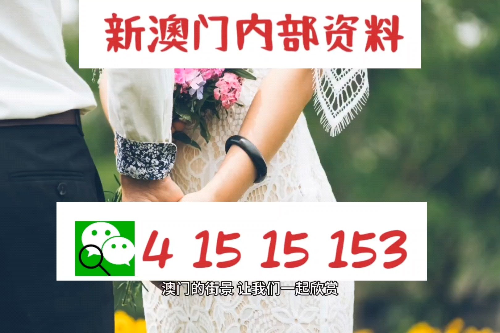 新澳门今天最新免费资料,WWW服务_随行版91.858