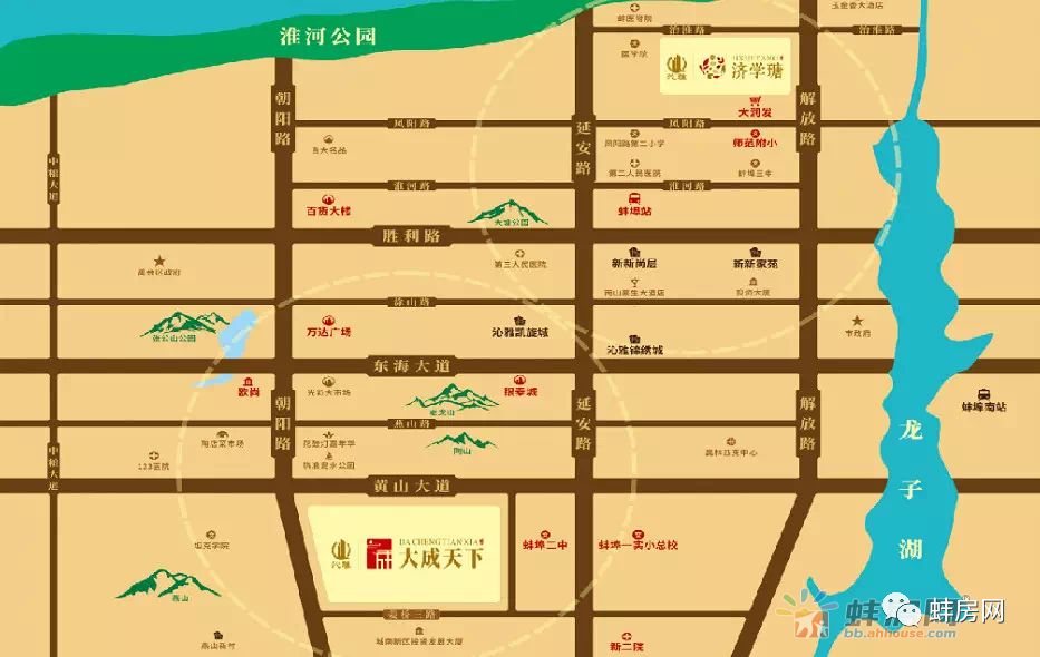 龙龙最新动态，拥抱自然，心灵宁静之旅启程