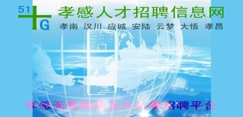 孝感槐荫招聘信息详解，求职与招聘步骤指南