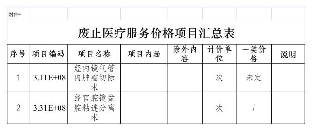医疗服务价格自查报告，全面审视与改进策略