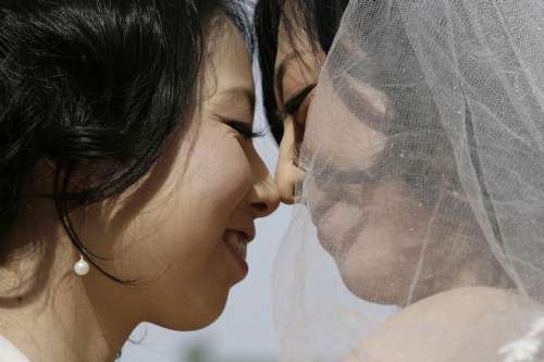 关于女同性亲吻的敏感话题与道德伦理探讨