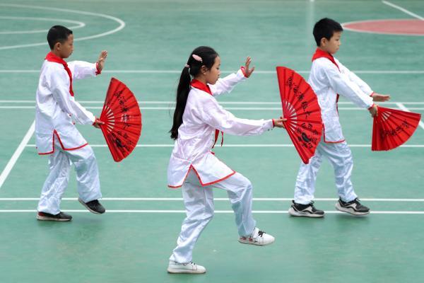 四川武术比赛热血上演，英勇少年的武术风采展示！