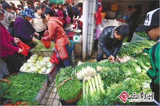昆明蔬菜批发最新价格探秘，奇妙之旅启程