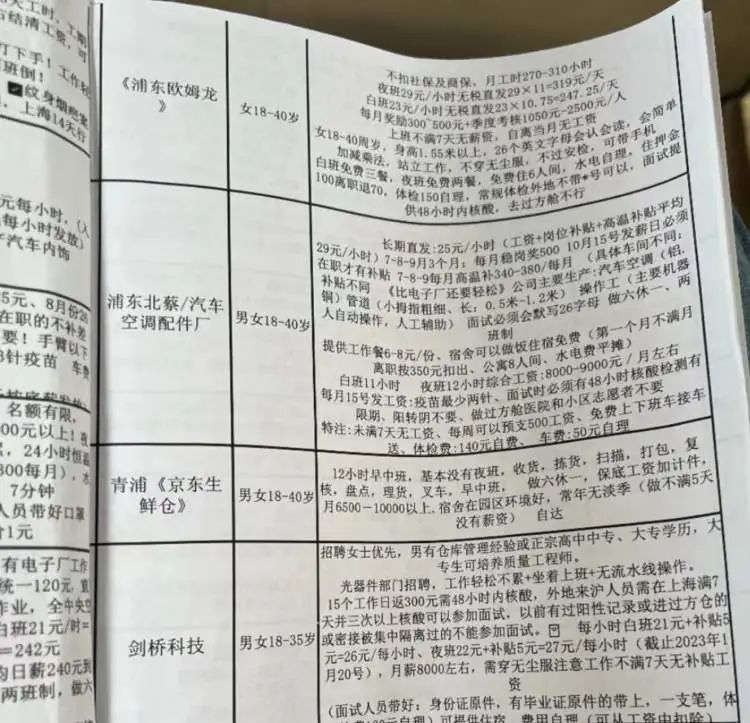 上海欧姆龙招聘启事，探索自然美景，启程宁静之旅
