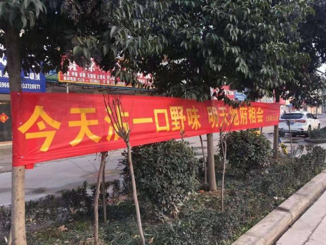 最新防疫横幅制作步骤指南与展示技巧