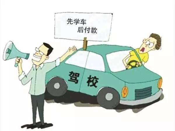 驾校政策改革最新动态，小巷中的隐藏瑰宝揭秘