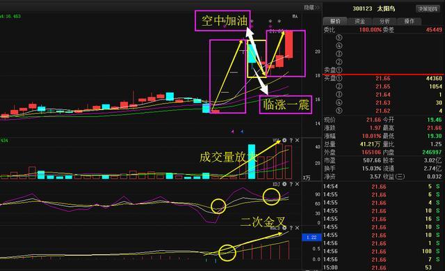 电科院股票最新动态，全面步骤指南