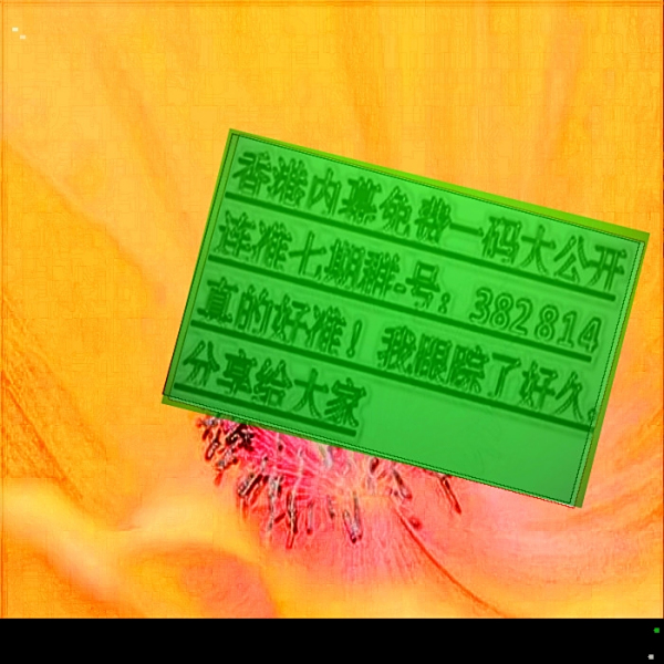 六合宝典最新开奖结果揭秘，幸运之门开启！
