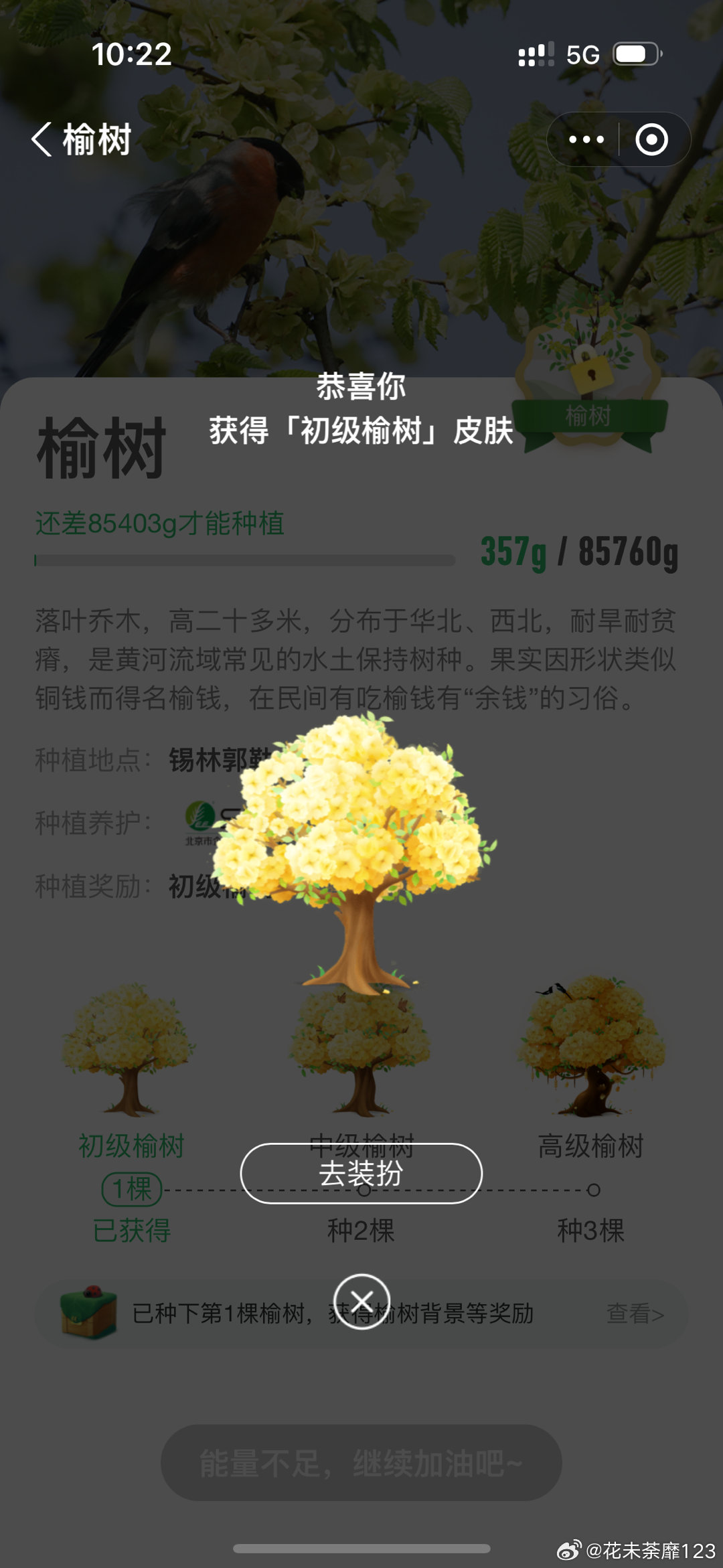 榆树吧贴吧最新动态更新