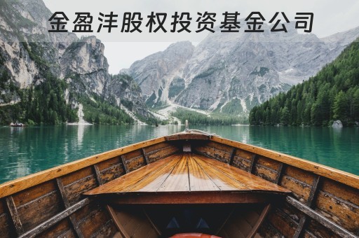 金盈沣的最新动态更新消息速递