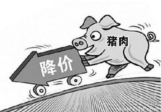 江苏猪瘟疫情背后的爱与陪伴，最新动态与感人故事
