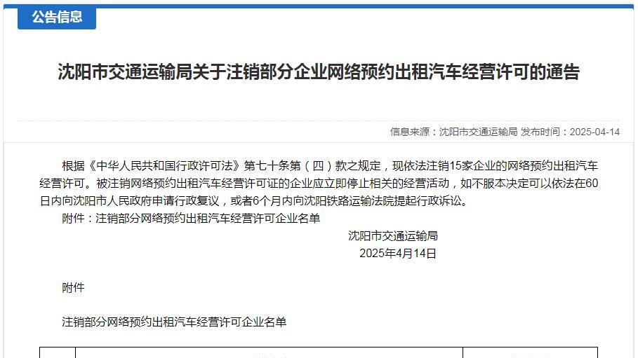 沈阳网约车最新动态，小巷深处的独特之旅