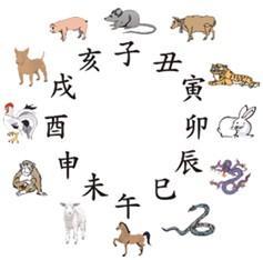 最新丙二大管轮招聘启事，扬帆起航，实现航海梦想