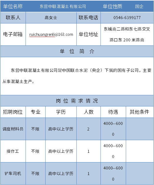 东营市最新招聘信息网，招聘领航者与时代脉搏同步前行